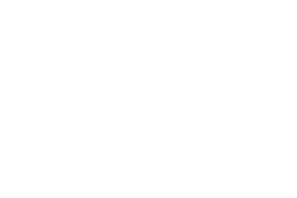 Logo ROTACARLOTA