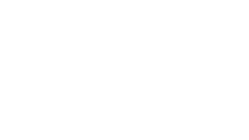 Logo UDABOL